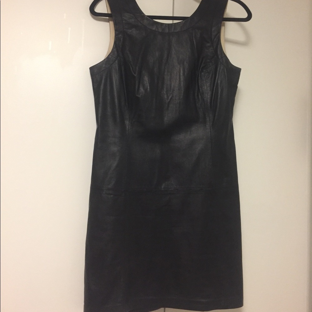 Theysken’s Theory Leather Dress